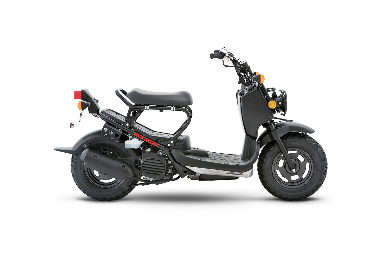 Scooter Scooter