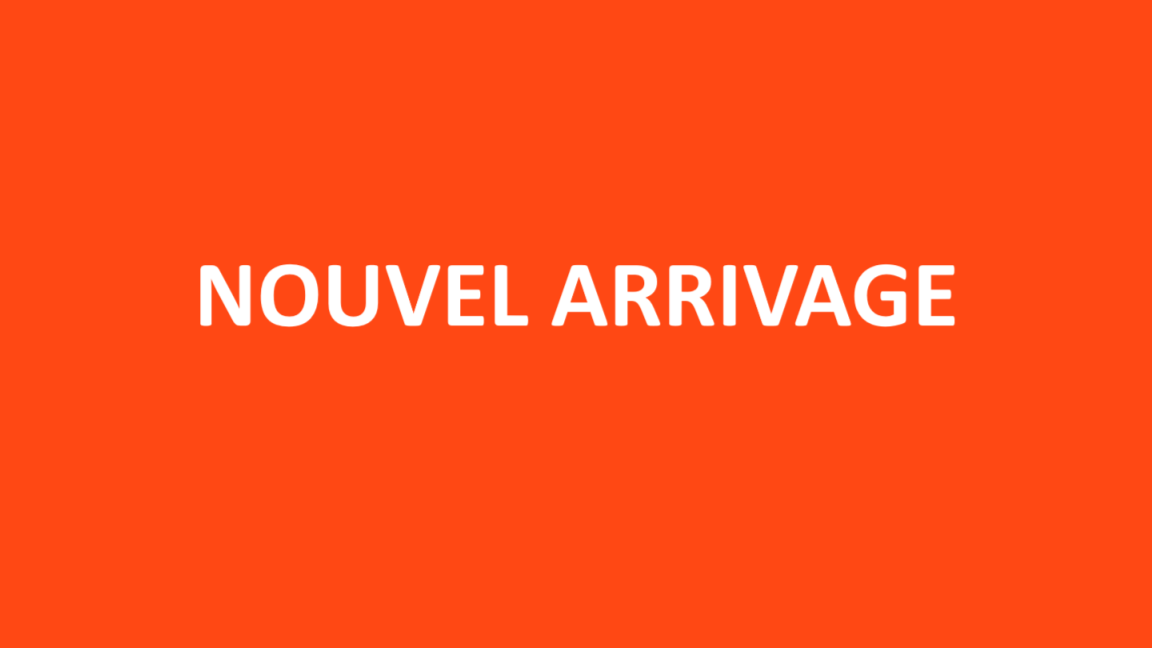 MSU-2022NVA110N_Rouge Neuf HONDA Navi 2022 a vendre 1