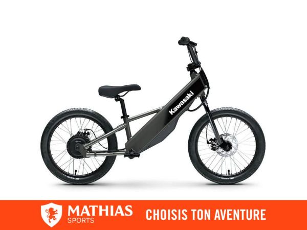  MSU-2025KSK050BSFN_GRISNeuf KAWASAKI ELEKTRODE 20FS 2025 a vendre 1