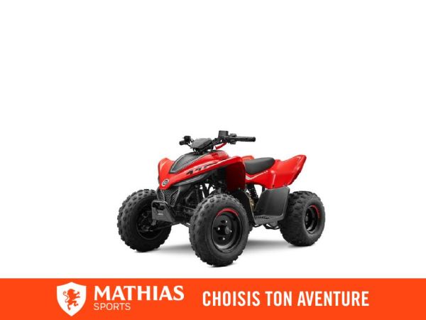 CF MOTO CFORCE 110 CLASSIC