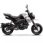 MSU-2025PAPIOCL_Noir Neuf CF MOTO  PAPIO CL 2025 a vendre 1