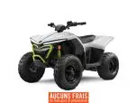  MSU-2024CFORCEV110_VertNeuf CF MOTO  CFORCE EV110 2024 a vendre 1