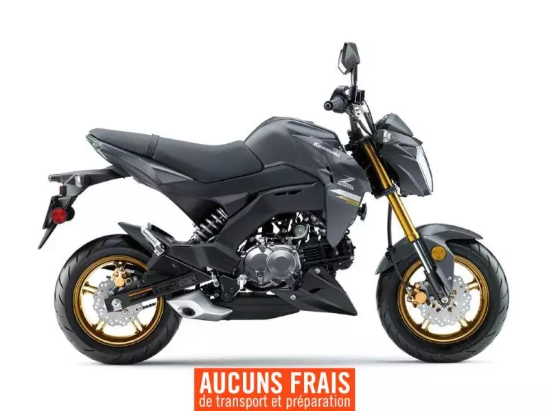  MSU-2024BR125JRFNN_GrisNeuf KAWASAKI Z125 PRO 2024 a vendre 1